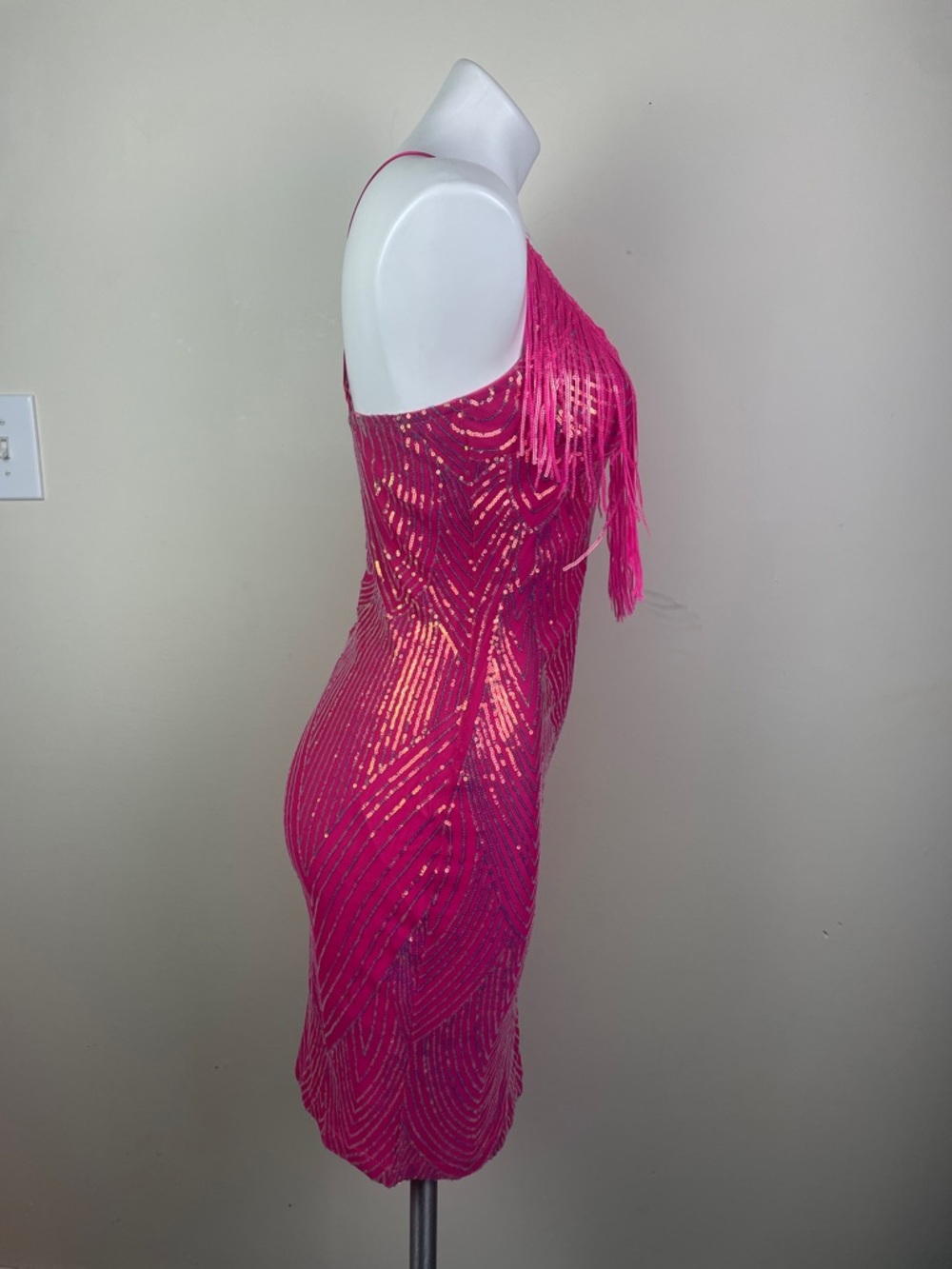 Stretchy Sequin Fringe Party Dress - Picture 4 of 13